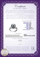 Productcertificaat: TAH-B-AAA-910-R-Royisal
