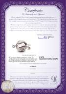Productcertificaat: W-14K-ball-dmd-clasp-brighton