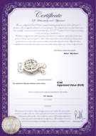 Productcertificaat: W-14K-Clasp-DBL-Sussex