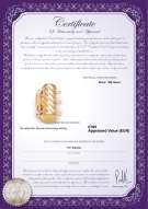 Productcertificaat: W-14K-TRP-Clasp-Dartmoor