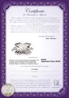 Productcertificaat: W-18K-Oxford-Clasp