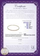 Productcertificaat: W-AA-67-N