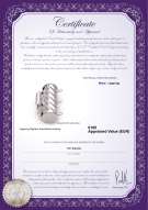 Productcertificaat: W-Alloy-TRP-Clasp-Leeds