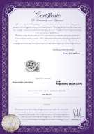Productcertificaat: W-Brass-DBL-Clasp-Lisbon