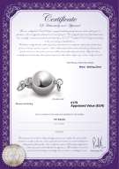 Productcertificaat: W-SS-Ball-Clasp