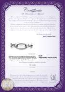 Productcertificaat: W-SS-Ebba-Clasp