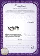 Productcertificaat: W-SS-Matilda-Clasp