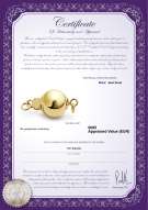 Productcertificaat: Y-14k-ball-clasp