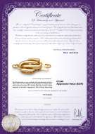 Productcertificaat: Y-14k-Fishhook-clasp-WMinster