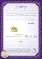 Productcertificaat: Y-Alloy-DBL-Round-Clasp-Nala