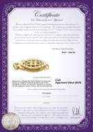 Productcertificaat: Y-Alloy-fishhook-clasp-Essen
