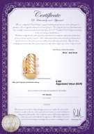 Productcertificaat: Y-Alloy-TRP-Clasp-Ohio