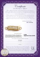 Productcertificaat: YW-14K-Fishhook-Clasp-Cbury